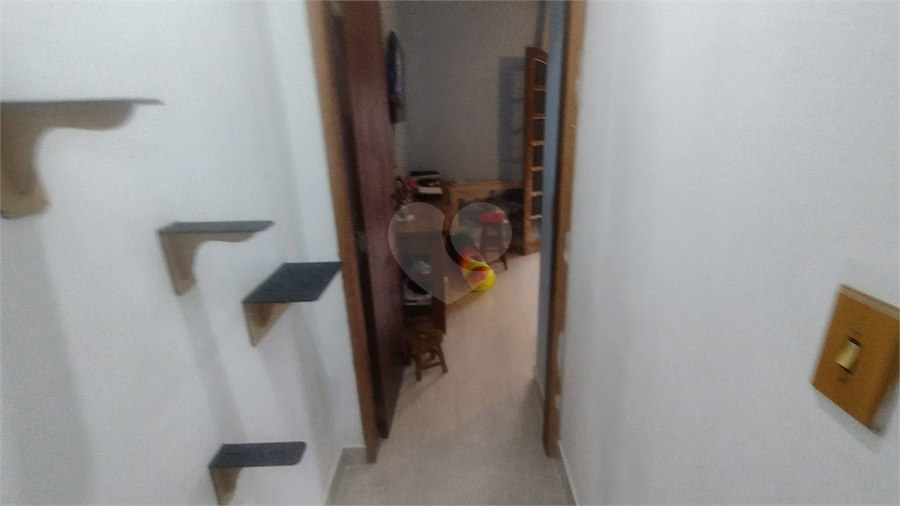 Foto REO1127184
