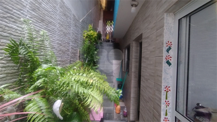 Foto REO1127184