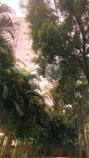 Foto REO1127190
