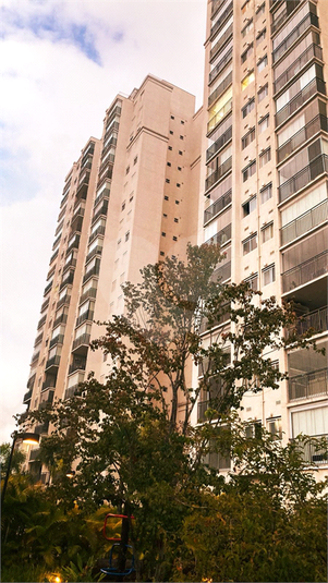 Foto REO1127190