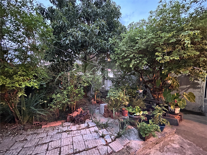 Foto REO1127238