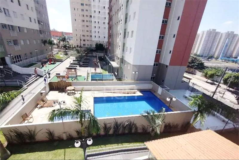 Foto REO1127243
