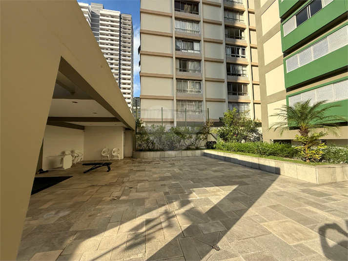 Foto REO1127255