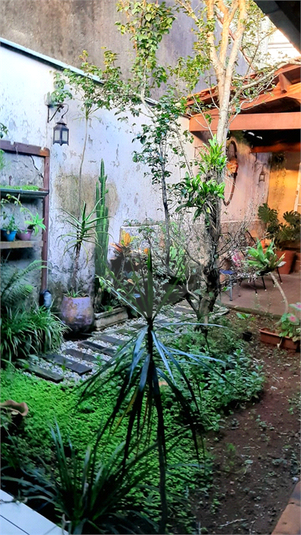 Foto REO1127261