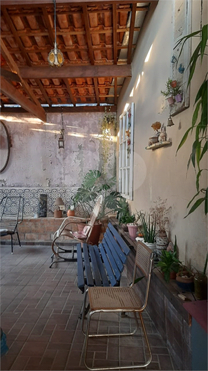 Foto REO1127261