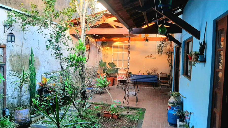 Foto REO1127261