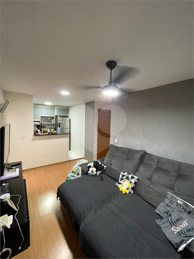 Foto REO1127266