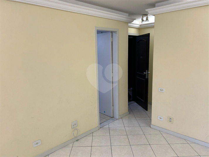 Foto REO1127269