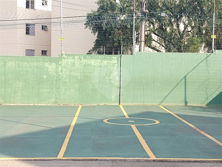 Foto REO1127272
