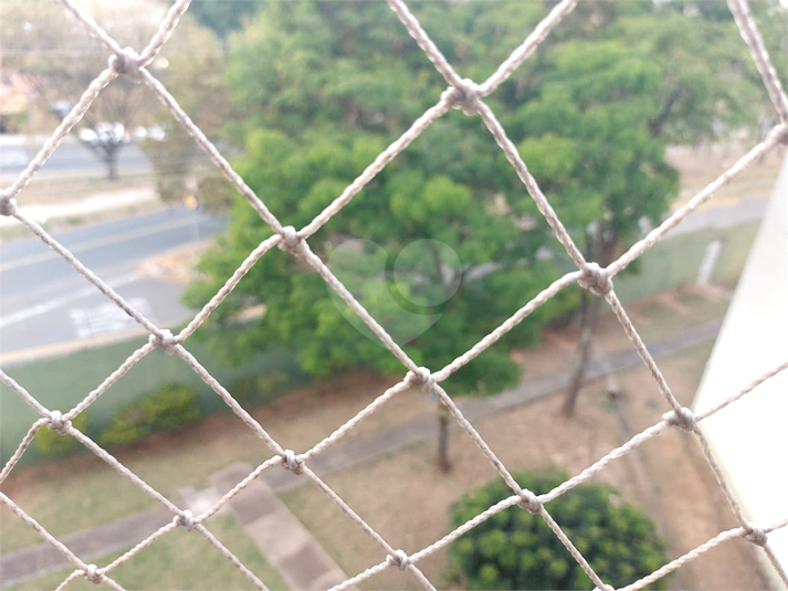 Foto REO1127272