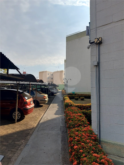 Foto REO1127272