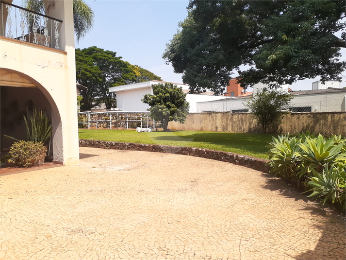 Foto REO1127273