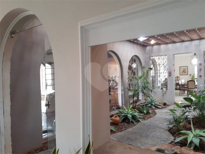 Foto REO1127273