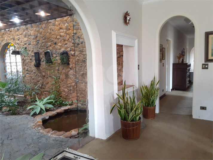 Foto REO1127273
