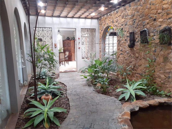 Foto REO1127273