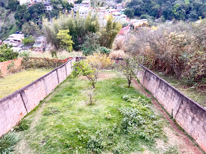 Foto REO1127275
