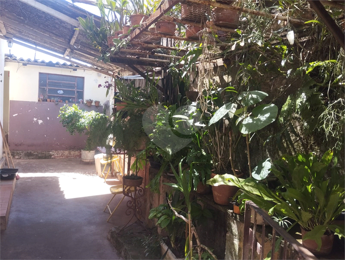Foto REO1127276