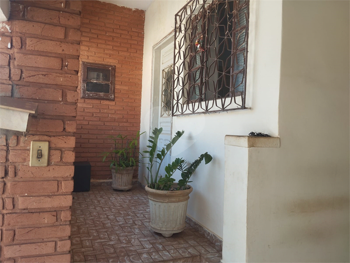 Foto REO1127276