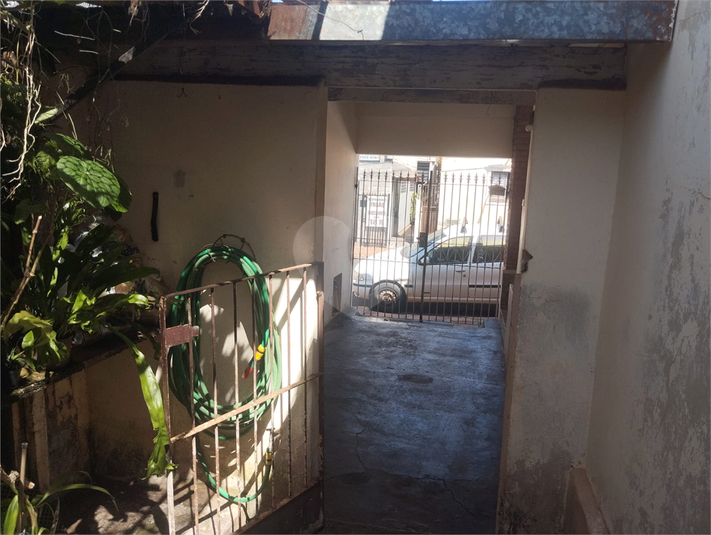 Foto REO1127276