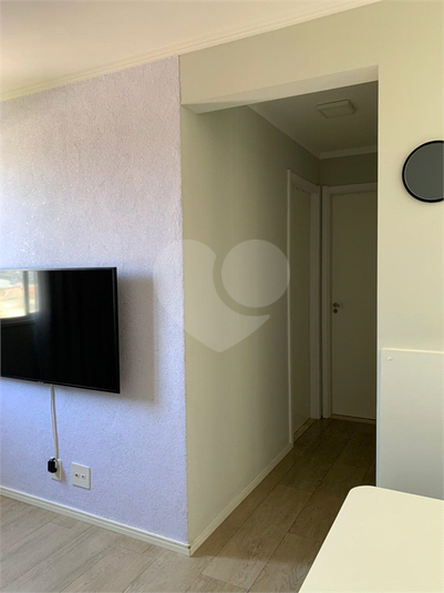 Foto REO1127278