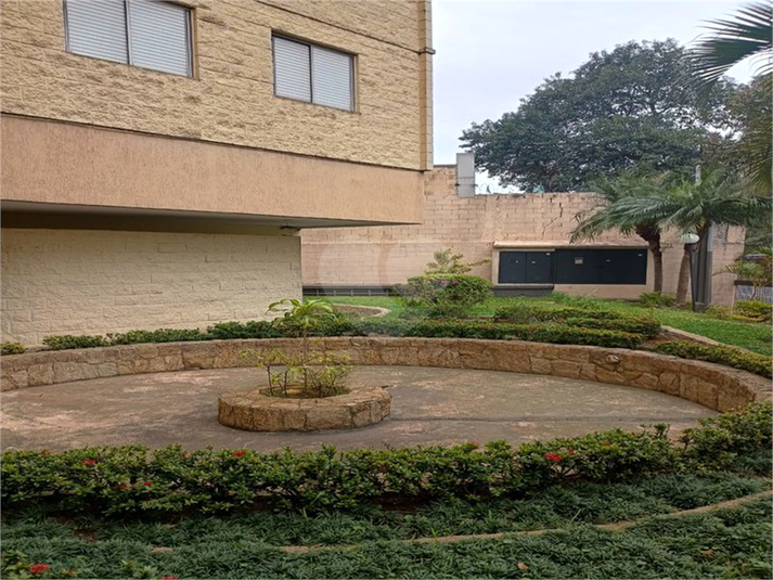 Foto REO1127288