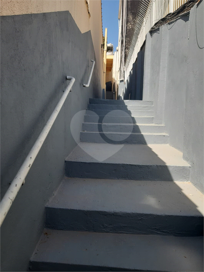 Foto REO1127289