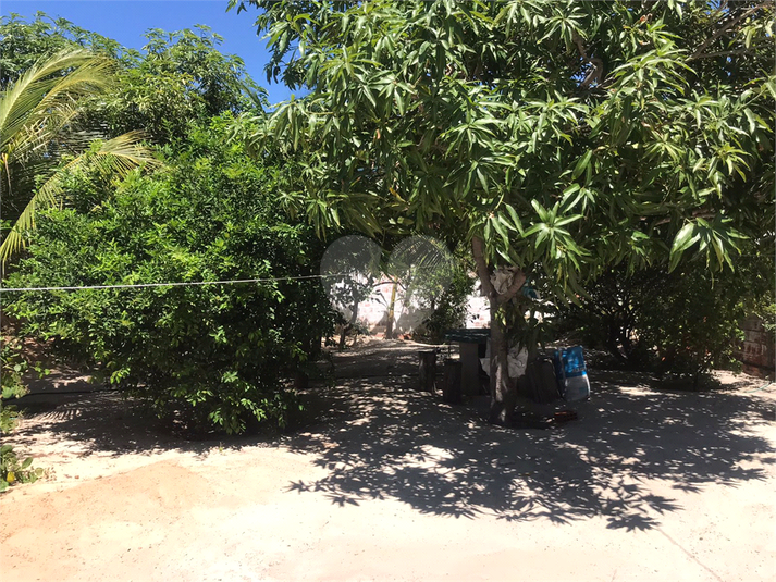 Foto REO1127295