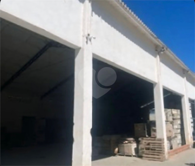 Foto REO1127298