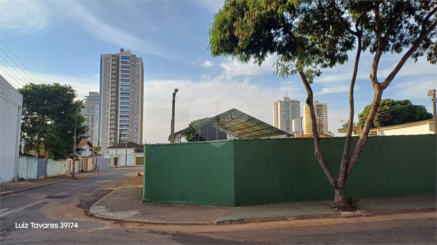 Foto REO1127301