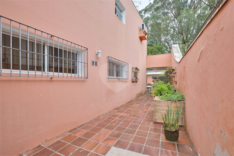 Foto REO1127304