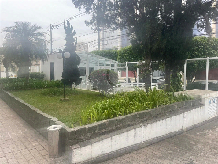 Foto REO1127308