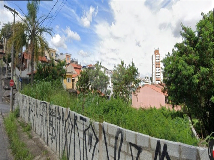 Foto REO1127309