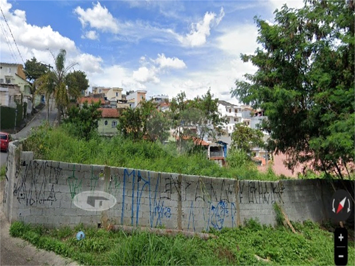 Foto REO1127309