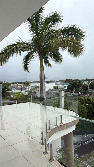 Foto REO1127310