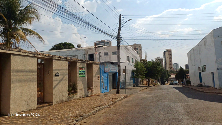 Foto REO1127315