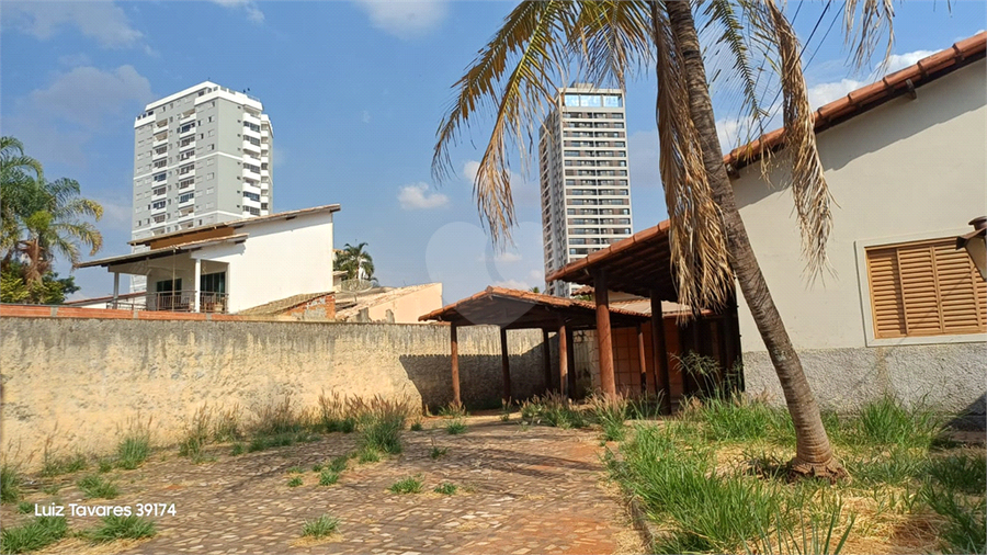 Foto REO1127315