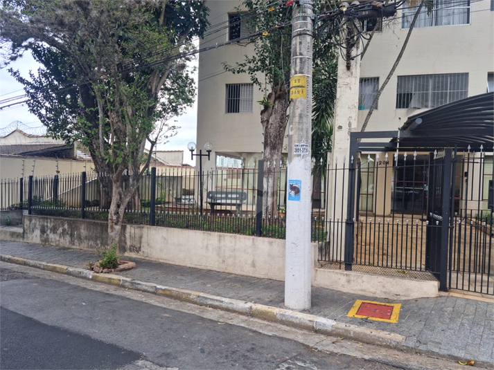 Foto REO1127316