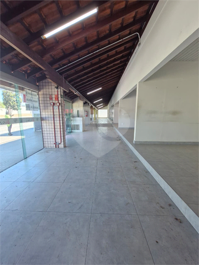 Foto REO1127318