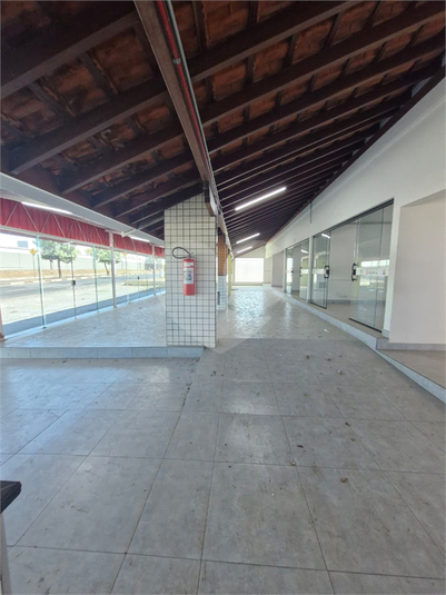 Foto REO1127318