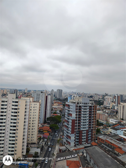 Foto REO1127325