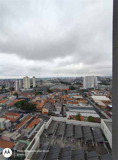 Foto REO1127325