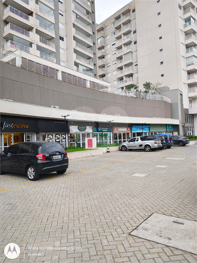 Foto REO1127325