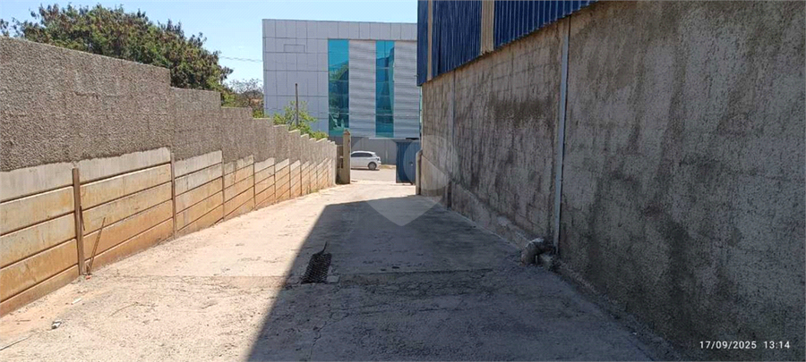 Foto REO1127332