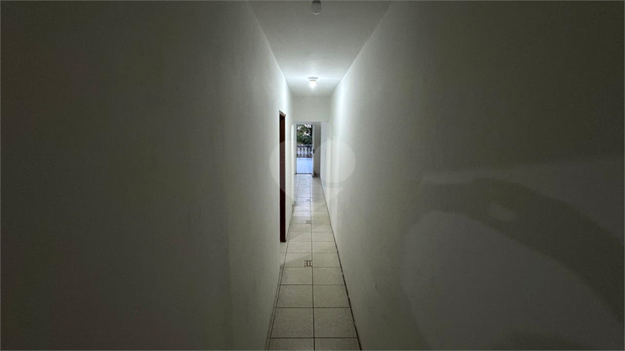 Foto REO1127335