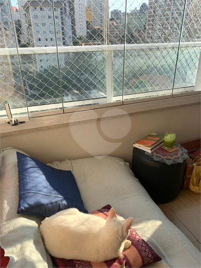 Foto REO1127338