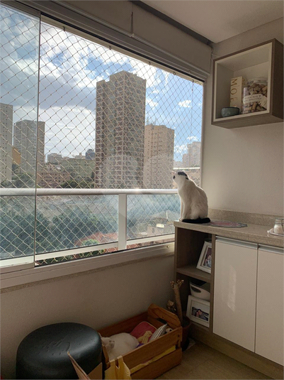 Foto REO1127338