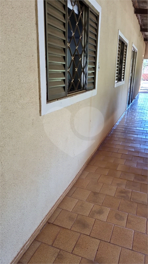 Foto REO1127342