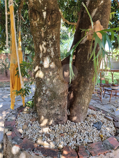 Foto REO1127342