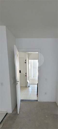 Foto REO1127346