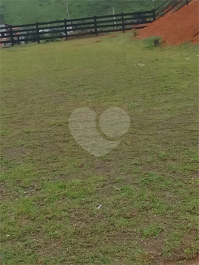 Foto REO1127350